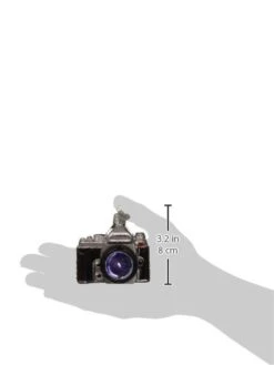 Old World Christmas Ornaments: Hobbies Gifts Glass Blown Ornaments For Christmas Tree, Camera, 32227 -National Tree Company Sale Shop 31oj68q5wkL