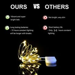 HAOSEE 20 Pack Fairy Lights Battery Operated,3.3ft 20 LED Silver Wire Warm White Firefly Waterproof Mini Led String Lights For Party Crafts Wedding Decor -National Tree Company Sale Shop 414KELkS1sL