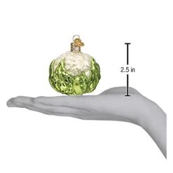 Old World Christmas Cauliflower Glass Blown Ornaments For Christmas Tree 10 Old World Christmas Cauliflower Glass Blown Ornaments For Christmas Tree -National Tree Company Sale Shop 4185iJN7JyL
