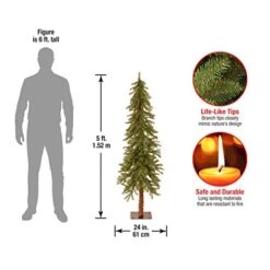 National Tree Company Artificial Christmas Tree | Hickory Cedar - 5 Ft -National Tree Company Sale Shop 41FPatJu7TL