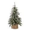 Northlight 18" Potted Flocked Downswept Mini Village Pine Medium Artificial Christmas Tree - Unlit -National Tree Company Sale Shop 41FhixUT1mL