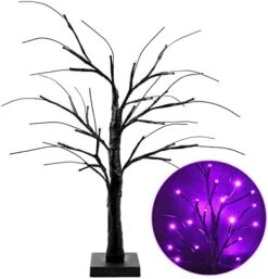 2-Pack 2FT Lighted Black Halloween Tree For Tabletop, Upgraded Spooky Tree With 24 LED Purple Lights, Battery Operated Or USB Halloween Tree With Lights For Halloween Decorations Indoor Home -National Tree Company Sale Shop 41MChWK1G0L. AC