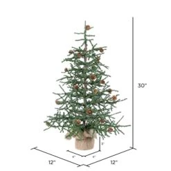 Vickerman 30" Caramel Pine Artificial Christmas Tree Unlit, Seasonal Indoor Home Decor With Decorative Burlap Base 13 Vickerman 30" Caramel Pine Artificial Christmas Tree Unlit, Seasonal Indoor Home Decor With Decorative Burlap Base -National Tree Company Sale Shop 41NJNRswdmL