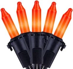 YULETIME Orange String Lights With Black Wire, 66 Feet 200 Count UL Certified Christmas Light, Pack Of 2 Sets 33 Ft 100 Amber Mini Light Set For Halloween Thanksgiving Holidays (Orange) -National Tree Company Sale Shop 41PAa92i2S. AC
