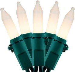 YULETIME Orange String Lights With Green Wire, 66 Feet 200 Count UL Certified Christmas Light, Pack Of 2 Sets 33 Ft 100 Opaque Mini Light Set For Halloween Thanksgiving Holidays (Orange) -National Tree Company Sale Shop 41QXQvjxWxL. AC