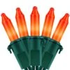 YULETIME Orange String Lights With Green Wire, 66 Feet 200 Count UL Certified Christmas Light, Pack Of 2 Sets 33 Ft 100 Opaque Mini Light Set For Halloween Thanksgiving Holidays (Orange)