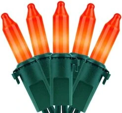 YULETIME Orange String Lights With Green Wire, 66 Feet 200 Count UL Certified Christmas Light, Pack Of 2 Sets 33 Ft 100 Opaque Mini Light Set For Halloween Thanksgiving Holidays (Orange) -National Tree Company Sale Shop 41RMz7KFmjS. AC