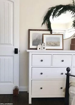 The Original Afloral Real Touch Norfolk Pine Garland - 60" -National Tree Company Sale Shop 41YTvaK1wOL