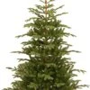 National Tree Company 'Feel Real' Artificial Christmas Tree - Norwegian Spruce Tree - 7.5 Ft -National Tree Company Sale Shop 41auCEy3stL