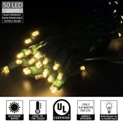 50 Count 5MM Wide Angle Led Christmas Lights Set,Outdoor Led String Lights For Garden Patio Christmas Trees Decoration,17 Feet Green Wire,Warm White -National Tree Company Sale Shop 41bEWtPHuCS