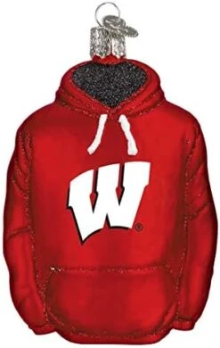 Old World Christmas University Of Wisconsin Badgers Glass Blown Ornaments For Christmas Tree Beanie -National Tree Company Sale Shop 41gz9IDPfzL. AC