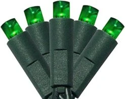 50 Count 5MM Wide Angle Led Christmas Lights Set,Outdoor Led String Lights For Garden Patio Christmas Trees Decoration,17 Feet Green Wire,Warm White -National Tree Company Sale Shop 41hQmy2ReL. AC