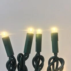 50 Count 5MM Wide Angle Led Christmas Lights Set,Outdoor Led String Lights For Garden Patio Christmas Trees Decoration,17 Feet Green Wire,Warm White -National Tree Company Sale Shop 41hsf7PbQgL