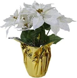 Northlight 32" Iced Mixed Pine Berries And Pine Cones Christmas Pillar Candle Holder -National Tree Company Sale Shop 41hyxPWL2SL. AC