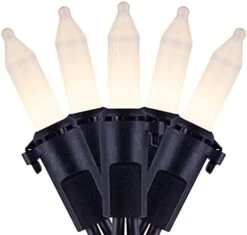 YULETIME Orange String Lights With Black Wire, 66 Feet 200 Count UL Certified Christmas Light, Pack Of 2 Sets 33 Ft 100 Amber Mini Light Set For Halloween Thanksgiving Holidays (Orange) -National Tree Company Sale Shop 41icCWeQ 7S. AC