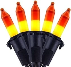 YULETIME Orange String Lights With Black Wire, 66 Feet 200 Count UL Certified Christmas Light, Pack Of 2 Sets 33 Ft 100 Amber Mini Light Set For Halloween Thanksgiving Holidays (Orange) -National Tree Company Sale Shop 41jt1mqbaS. AC