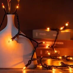 YULETIME Orange String Lights With Black Wire, 66 Feet 200 Count UL Certified Christmas Light, Pack Of 2 Sets 33 Ft 100 Amber Mini Light Set For Halloween Thanksgiving Holidays (Orange) -National Tree Company Sale Shop 41nJnfI8fOL