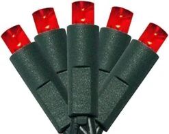 50 Count 5MM Wide Angle Led Christmas Lights Set,Outdoor Led String Lights For Garden Patio Christmas Trees Decoration,17 Feet Green Wire,Warm White -National Tree Company Sale Shop 41o2ChjxpKL. AC