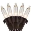 YULETIME Clear Christmas Lights With Brown Wire, 66 Feet 200 Count UL Certified String Lights, Pack Of 2 Sets 33 Ft 100 Count Incandescent Mini Light Set (Clear - Brown Wire) -National Tree Company Sale Shop 41pnm3yBJoS