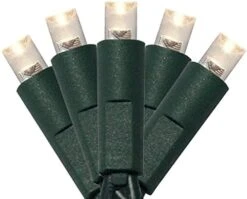 50 Count 5MM Wide Angle Led Christmas Lights Set,Outdoor Led String Lights For Garden Patio Christmas Trees Decoration,17 Feet Green Wire,Warm White -National Tree Company Sale Shop 41u4HS2b11L. AC