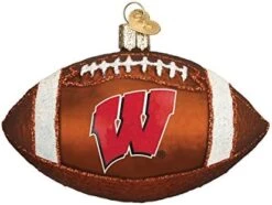 Old World Christmas University Of Wisconsin Badgers Glass Blown Ornaments For Christmas Tree Beanie -National Tree Company Sale Shop 41xBlENHaL. AC