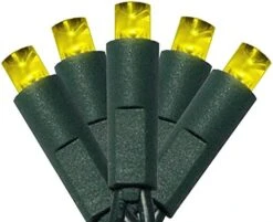 50 Count 5MM Wide Angle Led Christmas Lights Set,Outdoor Led String Lights For Garden Patio Christmas Trees Decoration,17 Feet Green Wire,Warm White -National Tree Company Sale Shop 41yDbmirZeL. AC