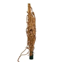 Kurt S. Adler Kurt Adler 20-Light Gold Rattan Star Treetop -National Tree Company Sale Shop 41z6XxgioQL