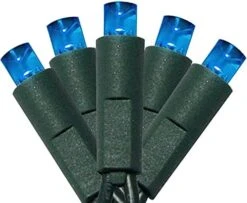 50 Count 5MM Wide Angle Led Christmas Lights Set,Outdoor Led String Lights For Garden Patio Christmas Trees Decoration,17 Feet Green Wire,Warm White -National Tree Company Sale Shop 41znoOchYWL. AC