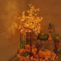Lightshare 7FT LED Lighted Maple Tree - Dotted With 208 Warm White LED Lights Orange For Thanksgiving Harvest Fall Festival Home Party Decoration -National Tree Company Sale Shop 51 3Ds9 cJL. AC