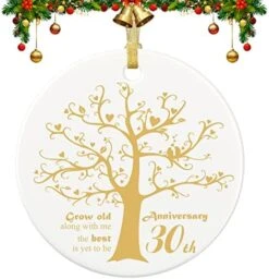 25 Years Anniversary Ornament, 2023 Christmas Hanging Ornament, 25th Years Couple Gifts For Wedding Anniversary, 25thHusband&Wife Married Decoration, 2023 Couple Christmas Ceramic Ornament With Ribbon -National Tree Company Sale Shop 5111DQlX86L. AC
