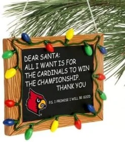 Foco NCAA College Team Logo Soft Lazy Day Robe -National Tree Company Sale Shop 512G8EoPAHL. AC