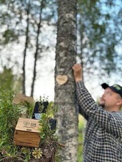 SunSilva Very Own Tree Birch Plywood Waxed Dark Sustainable Business Gift Tree In Finland Protect Forests -National Tree Company Sale Shop 514fJr6zscL