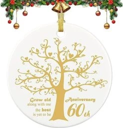 25 Years Anniversary Ornament, 2023 Christmas Hanging Ornament, 25th Years Couple Gifts For Wedding Anniversary, 25thHusband&Wife Married Decoration, 2023 Couple Christmas Ceramic Ornament With Ribbon -National Tree Company Sale Shop 515H1zocI0L. AC