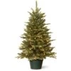 National Tree Company Artificial Christmas Tree For Entrances | Includes White Lights And Pot | Everyday Collections - 3 Ft -National Tree Company Sale Shop 519EyYFcRtL
