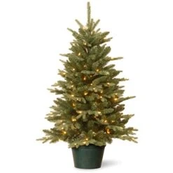 National Tree Company Artificial Christmas Tree For Entrances | Includes White Lights And Pot | Everyday Collections - 3 Ft