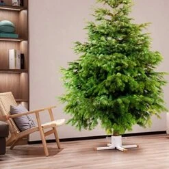 HarcoHome Christmas Tree Stand Base For Live Tree Modern Heavy-Duty Metal Xmas Tree Holder Stand With Spike For 8 Feet Fresh Tree Xmas Tree Decoration (White, Large) -National Tree Company Sale Shop 51CAanqTOOL