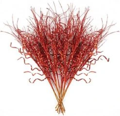 KI Store Glitter Curly Christmas Spray Set Of 12 Black Wispy Willow Christmas Picks For Halloween Christmas Tree Wreath Garland Bouquet Tree Topper Decoration 22 KI Store Glitter Curly Christmas Spray Set Of 12 Black Wispy Willow Christmas Picks For Halloween Christmas Tree Wreath Garland Bouquet Tree Topper Decoration -National Tree Company Sale Shop 51CH7lZn4CL. AC