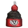 Old World Christmas University Of Wisconsin Badgers Glass Blown Ornaments For Christmas Tree Beanie -National Tree Company Sale Shop 51CYzKAYM0L