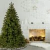National Tree Company 'Feel Real' Artificial Christmas Tree| Downswept Douglas Fir - 7 Ft -National Tree Company Sale Shop 51Gp3IZQAqL