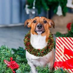 50 Feet Graduation Tinsel Garland Metallic Twist Garland Xmas Tree Decorations School Wedding Birthday New Year Hanging Ornaments Party Supplies 3 Inch (Red, Green And Gold) -National Tree Company Sale Shop 51HWx4lj7ML