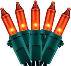 YULETIME Orange String Lights With Green Wire, 66 Feet 200 Count UL Certified Christmas Light, Pack Of 2 Sets 33 Ft 100 Opaque Mini Light Set For Halloween Thanksgiving Holidays (Orange) -National Tree Company Sale Shop 51IEeSZfAmL. AC