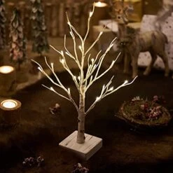 Hairui Pre Lit Tabletop Birch Tree With Timer 24LED 18IN Battery Operated For Easter Christmas Party Decoration 2 Sets -National Tree Company Sale Shop 51JPMwtFbxS