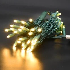50 Count 5MM Wide Angle Led Christmas Lights Set,Outdoor Led String Lights For Garden Patio Christmas Trees Decoration,17 Feet Green Wire,Warm White -National Tree Company Sale Shop 51KWscy5oQL