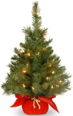 National Tree Company Pre-lit Artificial Mini Christmas Tree | Includes Small Lights And Cloth Bag Base | Majestic Fir - 2 Ft 13 National Tree Company Pre-lit Artificial Mini Christmas Tree | Includes Small Lights And Cloth Bag Base | Majestic Fir - 2 Ft -National Tree Company Sale Shop 51NPRPzmjZL. AC