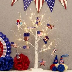 EAMBRITE Tabletop Tree Christmas Decorations, Mini Birch Tree With Lights, 24 LED Lighted Money Tree White Twig Tree Battery Operated With Timer, Home Centerpiece, Indoor Decor(2FT/Warm White) -National Tree Company Sale Shop 51NyUVPmx3L. AC