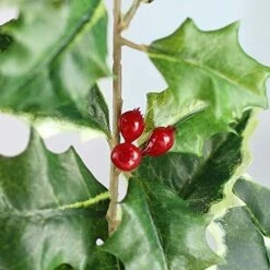 Weather Resistant Holly Candle Ring With Red Berries - Real Touch Artificial Lifelike Holly Candle Ring For Indoor Or Outdoor Christmas Holiday Decoration By Factory Direct Craft (10" Dia) -National Tree Company Sale Shop 51Nzf2L5oiL. AC