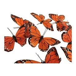 Monarch Butterfly Garland, 6.5 Feet Long -National Tree Company Sale Shop 51OUXZs3izL