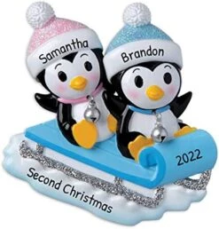 Personalized Babys First Christmas Ornament 2022 - My First Christmas Ornament 2022 - Alphabet Blocks Twin Babies First Christmas Ornament, 1st Christmas Baby Ornament 2022 - Free Customization 26 Personalized Babys First Christmas Ornament 2022 - My First Christmas Ornament 2022 - Alphabet Blocks Twin Babies First Christmas Ornament, 1st Christmas Baby Ornament 2022 - Free Customization -National Tree Company Sale Shop 51QBYbw CL. AC