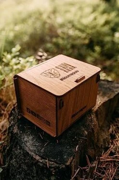 SunSilva Very Own Tree Oak Brown Sustainable Business Gift Tree In Finland Protect Forests -National Tree Company Sale Shop 51RdfF0HSrL