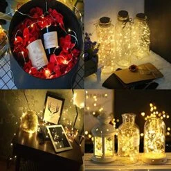 HAOSEE 20 Pack Fairy Lights Battery Operated,3.3ft 20 LED Silver Wire Warm White Firefly Waterproof Mini Led String Lights For Party Crafts Wedding Decor -National Tree Company Sale Shop 51TnEqYhIHL